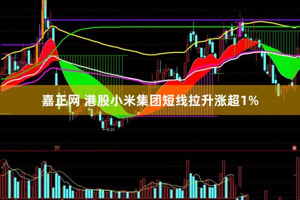 嘉正网 港股小米集团短线拉升涨超1%