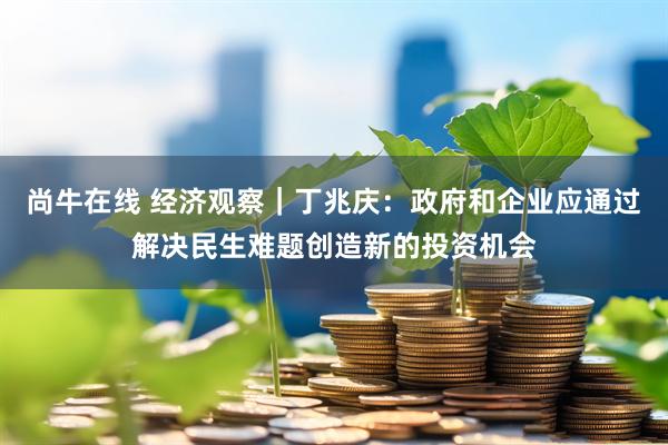 尚牛在线 经济观察｜丁兆庆：政府和企业应通过解决民生难题创造新的投资机会