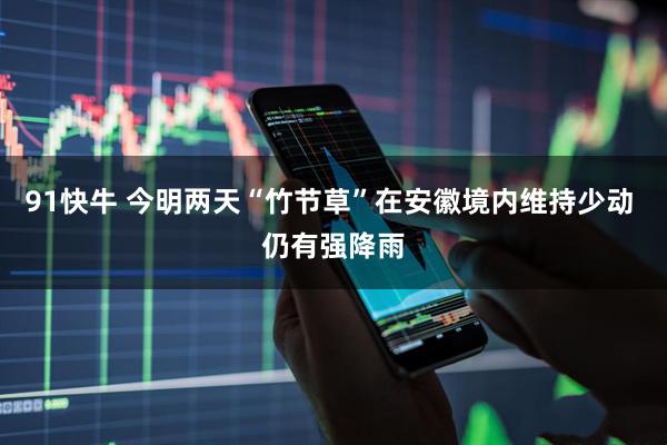 91快牛 今明两天“竹节草”在安徽境内维持少动 仍有强降雨