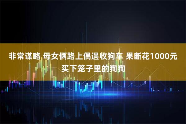 非常谋略 母女俩路上偶遇收狗车 果断花1000元买下笼子里的狗狗