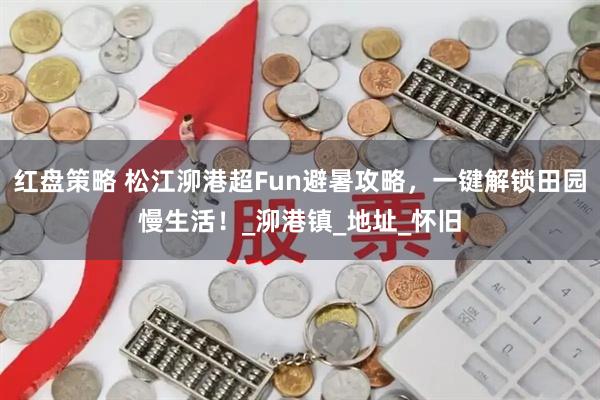 红盘策略 松江泖港超Fun避暑攻略，一键解锁田园慢生活！_泖港镇_地址_怀旧