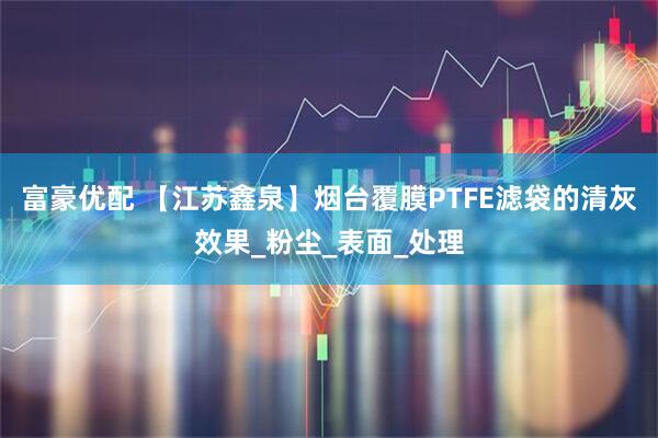 富豪优配 【江苏鑫泉】烟台覆膜PTFE滤袋的清灰效果_粉尘_表面_处理
