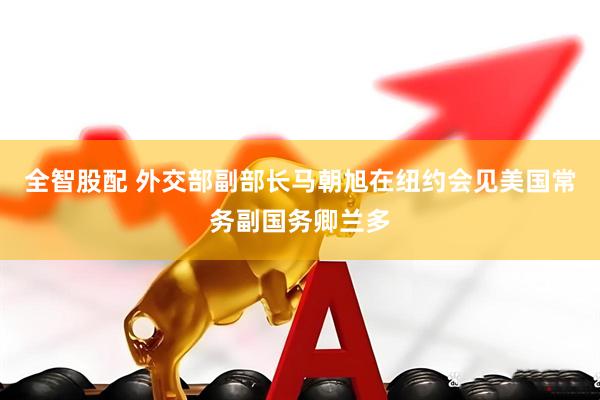 全智股配 外交部副部长马朝旭在纽约会见美国常务副国务卿兰多